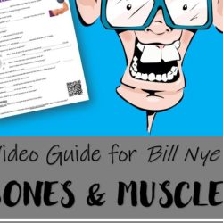 Bill nye bones and muscles worksheet