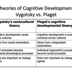 Erikson piaget stages development kohlberg chart stage developmental moral jean theories lawrence vs theory psychosocial erik diagram graphic cognitive growth